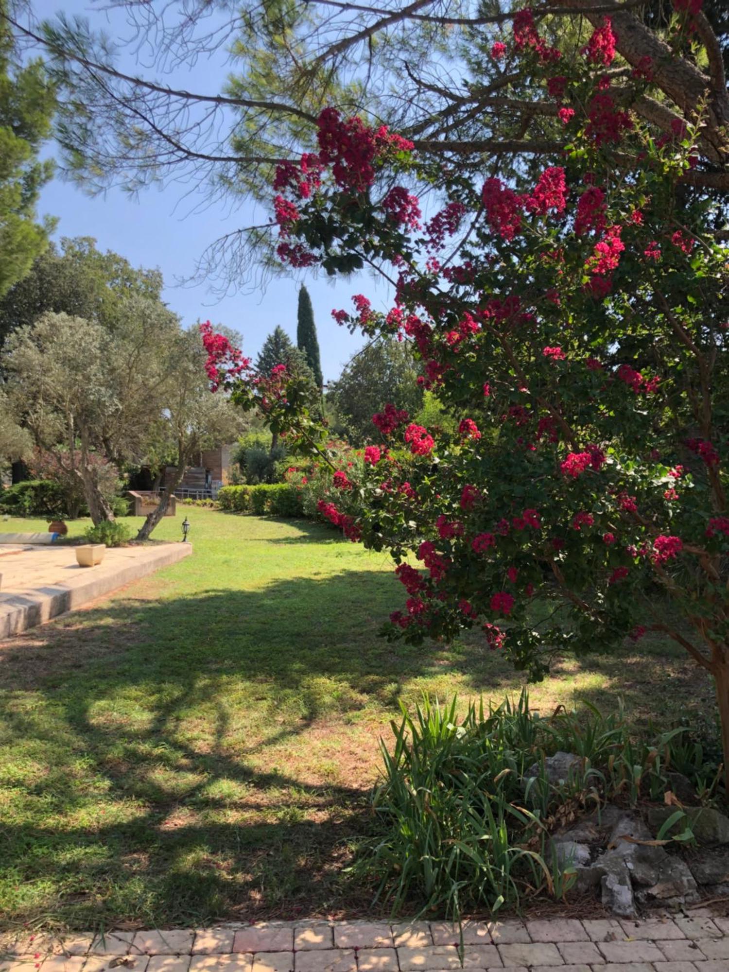 Gite En Provence Dans Grand Jardin Avec Piscine Partagee Cornillon-Confoux Eksteriør bilde
